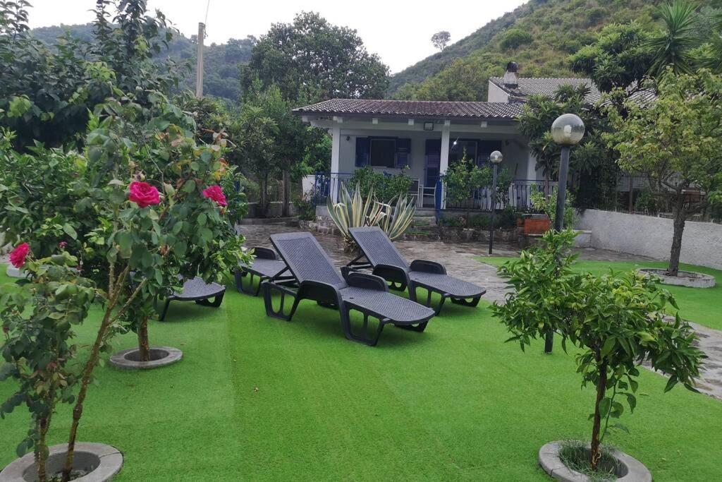Villa Cilento Mare, Bellissima Con Ampio Giardino カピテッロ エクステリア 写真