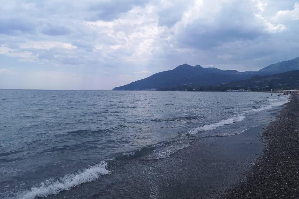 Villa Cilento Mare, Bellissima Con Ampio Giardino カピテッロ エクステリア 写真