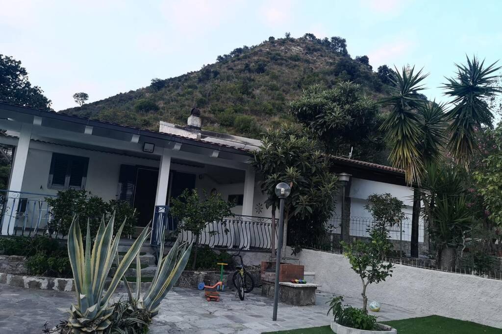 Villa Cilento Mare, Bellissima Con Ampio Giardino カピテッロ エクステリア 写真