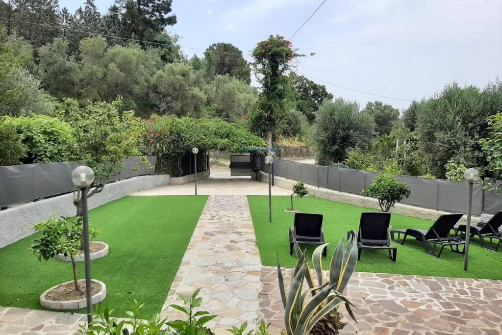 Villa Cilento Mare, Bellissima Con Ampio Giardino カピテッロ エクステリア 写真